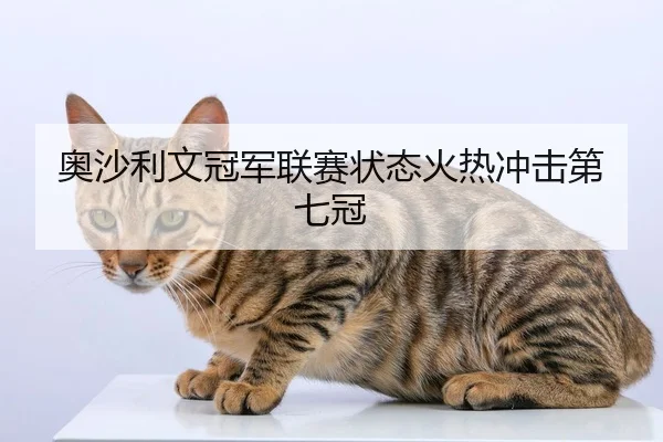 奥沙利文冠军联赛状态火热冲击第七冠