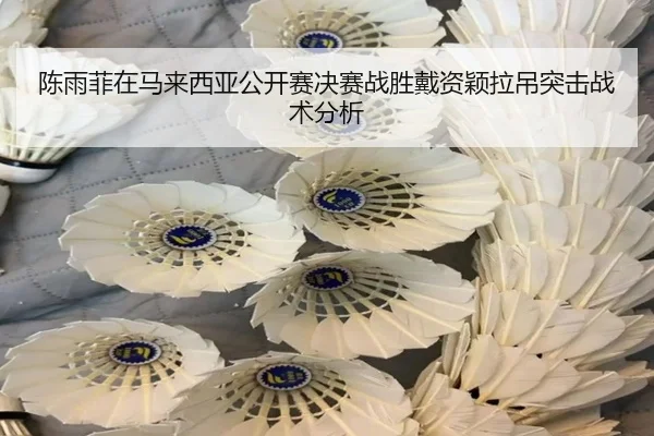 chen-yu-fei-zai-ma-lai-xi-ya-gong-kai-sai-jue-sai-zhan-sheng-dai-zi-ying-la-diao-tu-ji-zhan-shu-fen-xi-2-625.jpg