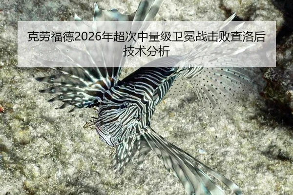 克劳福德2026年超次中量级卫冕战击败查洛后技术分析