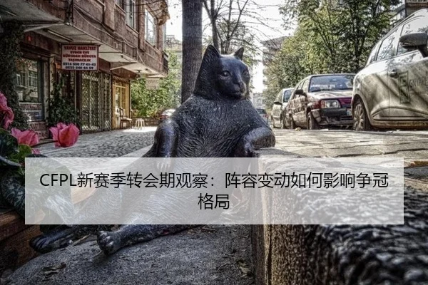xin-sai-ji-zhuan-hui-qi-guan-cha-zhen-rong-bian-dong-ru-he-ying-xiang-zheng-guan-ge-ju-2-998.jpg